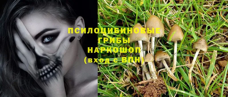 Галлюциногенные грибы MAGIC MUSHROOMS  Шарыпово 