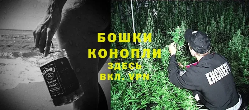 Канабис OG Kush  Шарыпово 